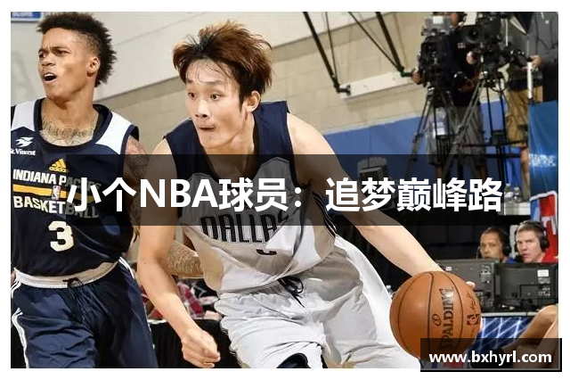小个NBA球员：追梦巅峰路