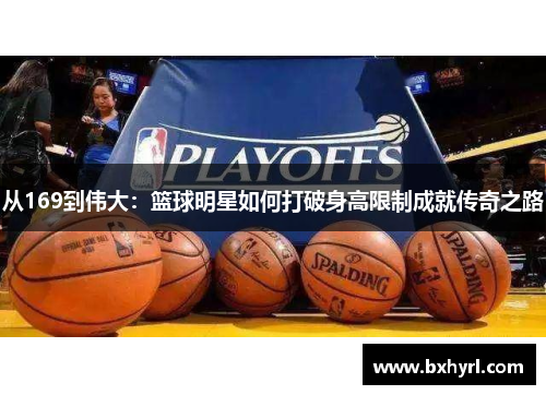 从169到伟大：篮球明星如何打破身高限制成就传奇之路
