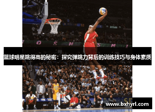 篮球明星跳得高的秘密：探究弹跳力背后的训练技巧与身体素质